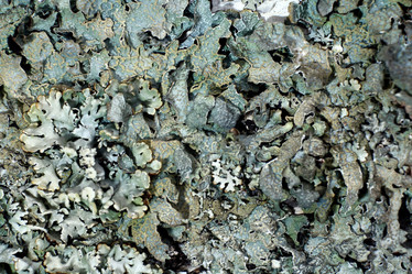 Similar image 10499344