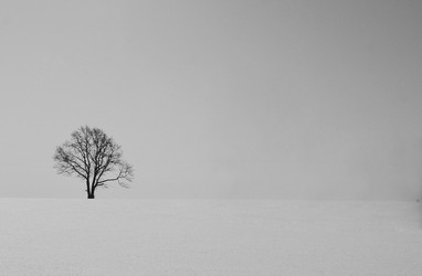 Similar image 10499345