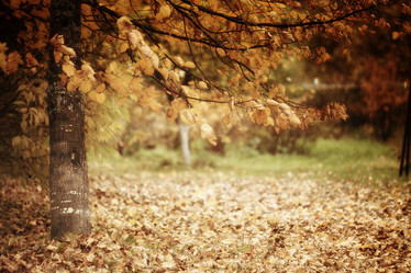 Similar image 10499347