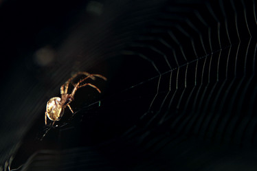 Similar image 10499362