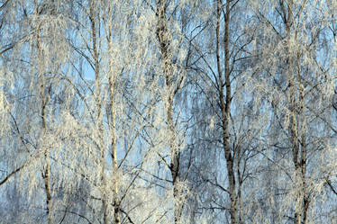 Similar image 10499363