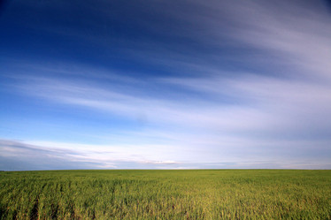 Similar image 10499364