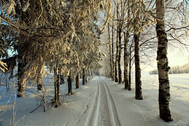 Similar image 10499367