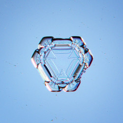 Similar image 10499371