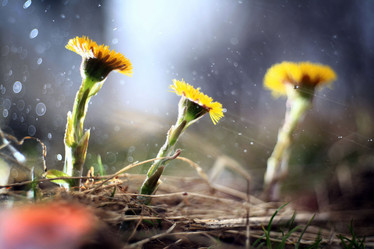 Similar image 10499374