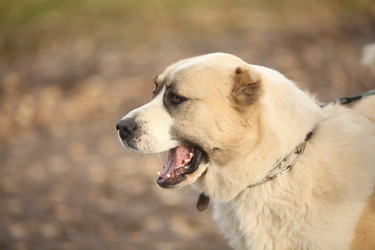 Similar image 10499379