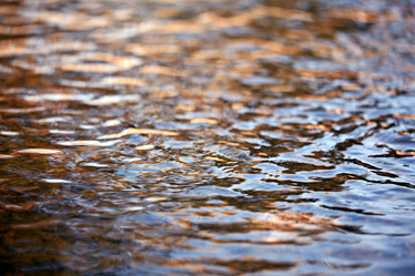 Similar image 10499382