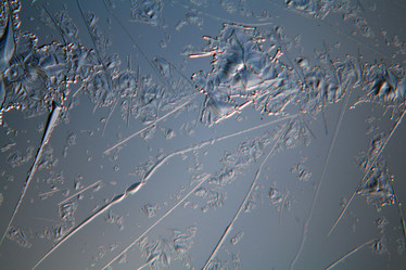 Similar image 10499384