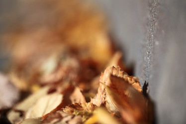 Similar image 10499387