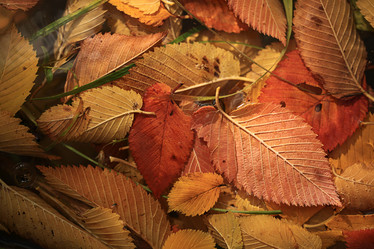 Similar image 10499388