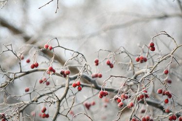 Similar image 10499393