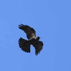 Similar image 10499401