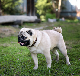 Similar image 10499403