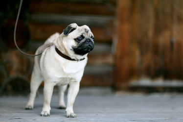 Similar image 10499406