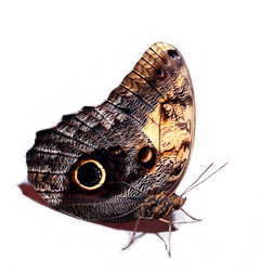 Similar image 10499408