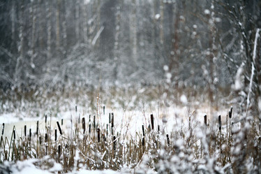 Similar image 10499415