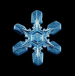 Similar image 10499416