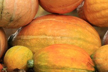 Similar image 10499419