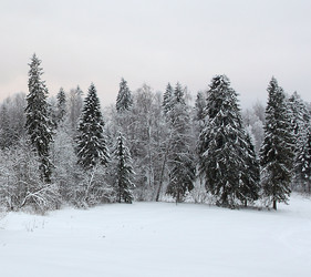 Similar image 10499422