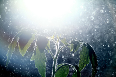 Similar image 10499423