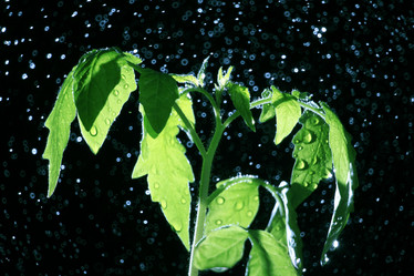 Similar image 10499424