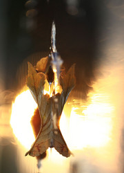 Similar image 10499425