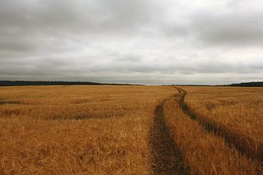 Similar image 10499440