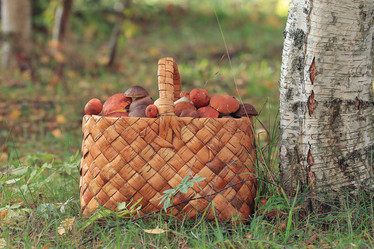 Similar image 10499442