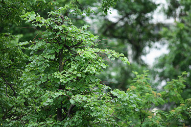 Similar image 10499446