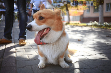 Similar image 10499452