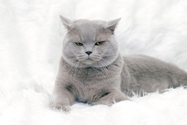 Similar image 10499453