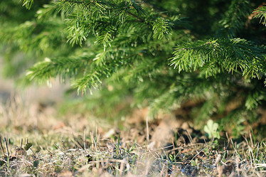 Similar image 10499457