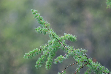 Similar image 10499461