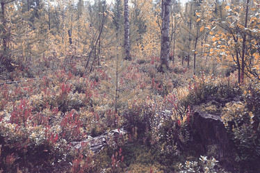 Similar image 10499462