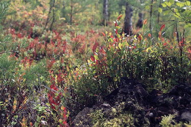 Similar image 10499464