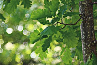 Similar image 10499471