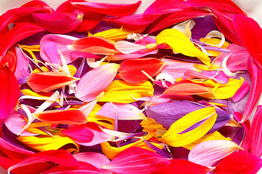 Similar image 10499479