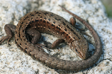 Similar image 10499484