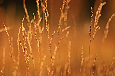 Similar image 10499485