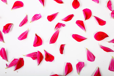 Similar image 10499486