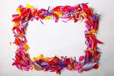 Similar image 10499487