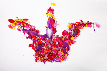 Similar image 10499489