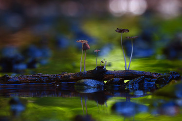 Similar image 10499490