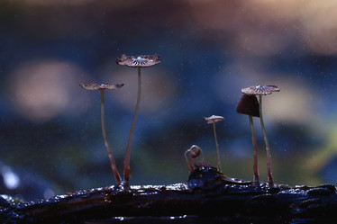 Similar image 10499491