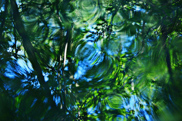 Similar image 10499494