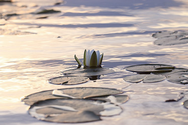 Similar image 10499495