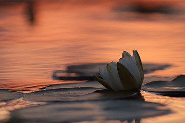 Similar image 10499497