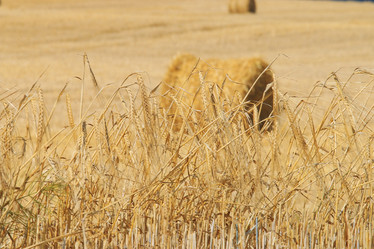 Similar image 10499502