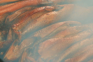 Similar image 10499513