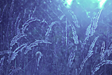 Similar image 10499517